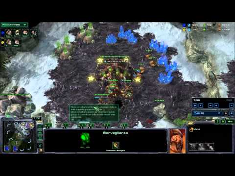 sc2 hots cast ita: TLO vs Hanfy ( Z vs Z)