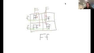 Mouse Genetics Gizmo Activity B