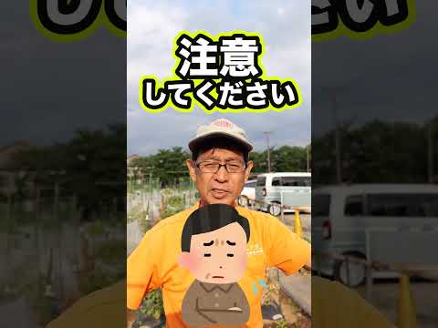 天然肥料としての卵の殻 2022