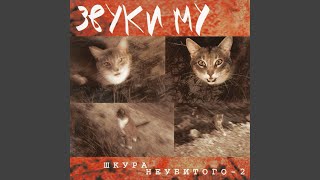 Ветер. Люди