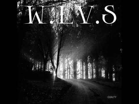 PREMIERE: W.LV.S (The Driver & Electric Rescue) - Orca [ASTROPOLIS Records]