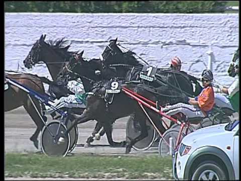 Trotto 22/05/2016 - 1° corsa