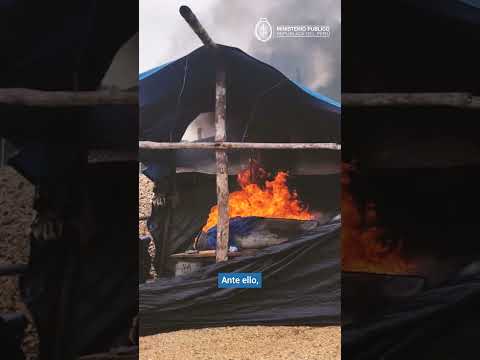 📢 Fiscalía ejecutó acciones para combatir la minería ilegal en la Reserva Nacional de Tambopata.