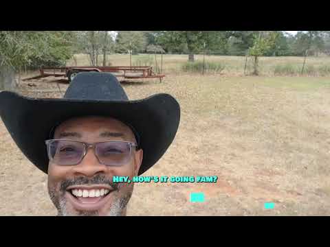 How to Boost Garden Growth by Planting with the Moon Phases 🌙