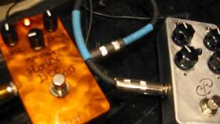 Video thumbnail for PTD mini-bone V2 and Honey Bee.wmv by paultrombetta