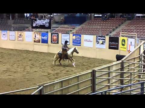 Tucker Robinson 2011 NRCHA