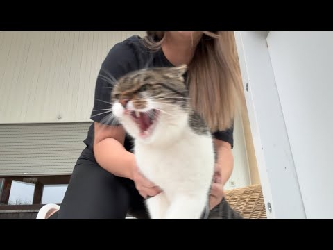 Wurmi ist heute komplett ausgerastet, weil ich ihm den…. 