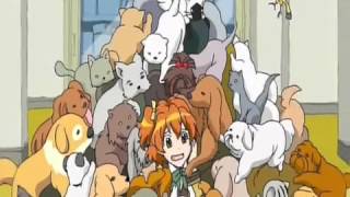 Cover art for Fresh Precure Op