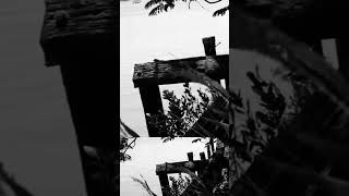 Johnny Cash  - Just the other side of nowhere