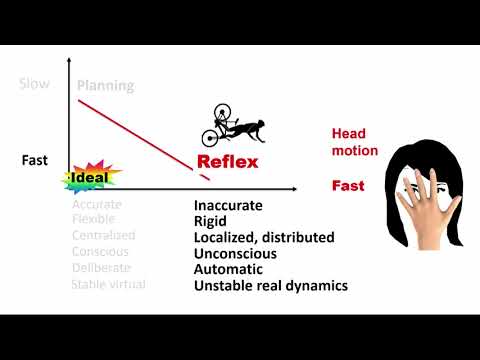 John C. Doyle, "Universal Laws and Architectures in Complex Networks" - OFC Plenary