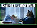 To Kill a Mockingbird by Harper Lee Explained by an Idiot