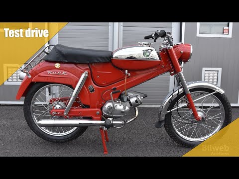 18094 - Puch Dakota 50cc — 1969