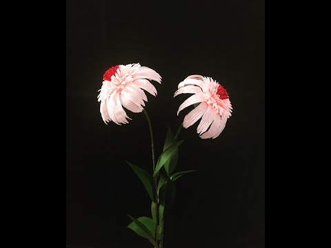 Bella’s Craft/ How to make Echinacea Supreme flowers by crepe paper/ cách làm hoa cúc bắc Mỹ
