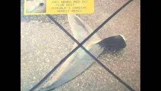 Ernest St Laurent Feat Romuald "In the sky" Romuald "cardiac arrest" Remix