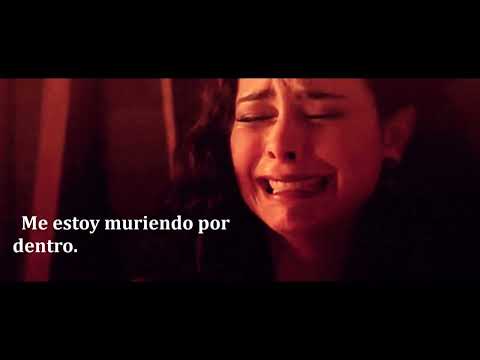 ME ESTOY MURIENDO POR DENTRO   GAVIOTA I SANTO CALIFORNIA  Gabbiano