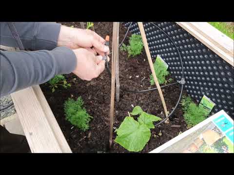 Kombination Gardena aqua Bloom Set und Micro-Drip-System in einem Hochbeet.