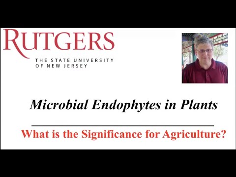 Dr. James White: Plant Endophytes' Agricultural Impact | R-SOIL 2025