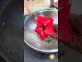 செம்பருத்தி பூ டீ Sembaruthi Tea Recipe