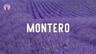 Cover art for Motero