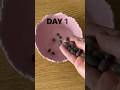 How To Grow Lotus From Seeds Shorts Viral Lotus Seeds Germination Yt Shortsfeed Subscribe