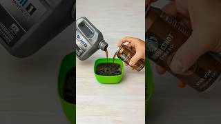 Million-Dollar Idea! DIY Wood Waterproof Coating Test