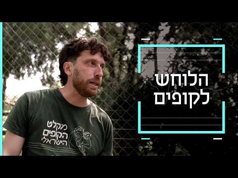 הישראלי שלמד לדבר עם קופים וסיפורי המקלט הענק ביער בן שמן