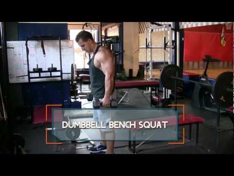 Dumbbell Bench Squat - How to do Dumbbell Bench Squats