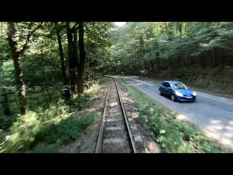 The Line Szob - Nagyirtáspuszta (Nr. 318.) 20230910 5x 4kup