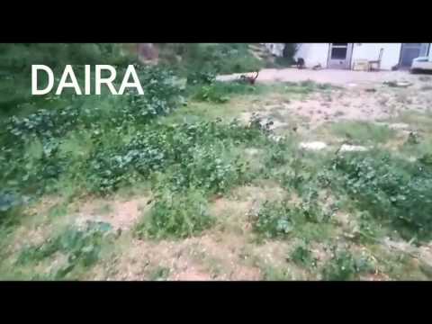 DAIRA EN LA RESIDENCIA