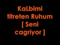 Muhabbet - Sen Istedin [ Lyrics ] 