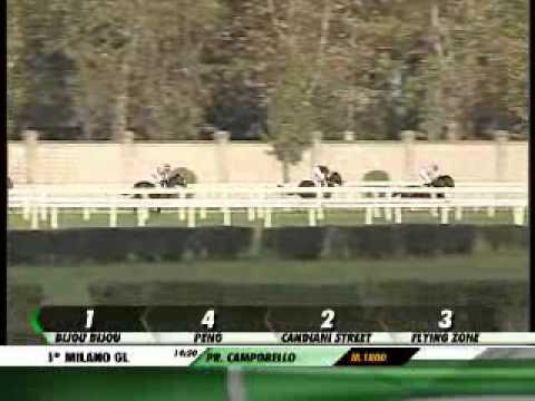 03/11/2012, Milano , Premio Campobello