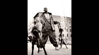 DMX - Get Money Freestyle (Biggie &amp; Lil Kim/Junior M.A.F.I.A. Remix)