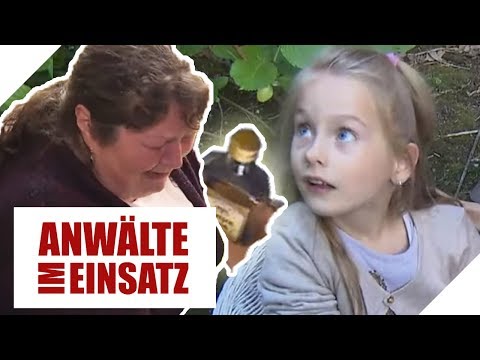 Alcohol in kindergarten! Drunk kindergarten teacher endangers children! | Lawyers in action | SAT.1