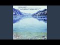 Sonata No. 1 In G Major, Op. 78: II. Adagio
