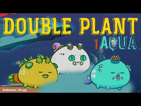 ARE THIS STILL FLOOR AXIES?  | Axie Infinity