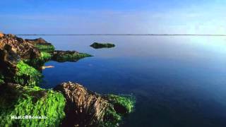 Morgan Taylor Reid - Where Do I Even Start