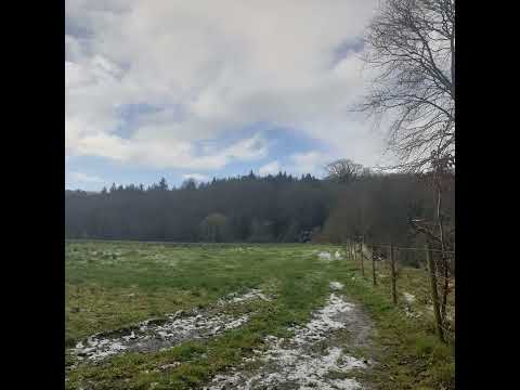 [FREE] midwest emo x nothing,nowhere. x skele x sendflowrs x sewerperson type beat - too long.