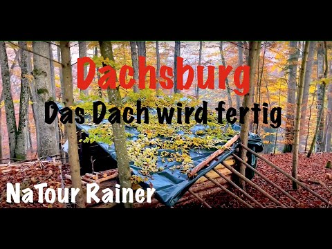 Die Dachsburg bekommt ein Dach. Overnighter im Wald - #outdoor #overnight #bushcraft