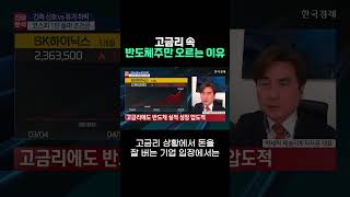 고금리 속 반도체주만 오르는 이유 | #출발증시