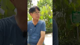 호치민 떤푸군 공원이 있어서 한달살기 좋아요.