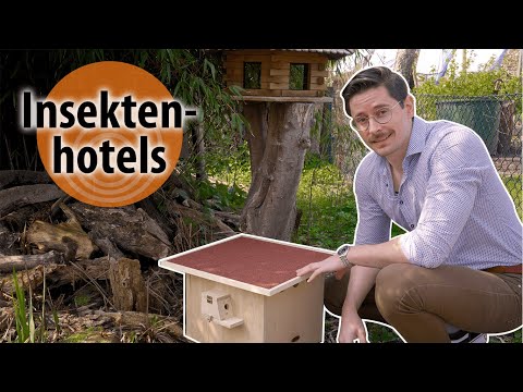 Wie leben Insekten? dobar-smart: Insektenhotels | Unterschiedliche Nisthilfen