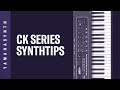 CK Tips Using The A D Input With Effects For An External Instrument