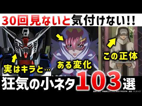 オナイダ・ラクスについて詳しく解説