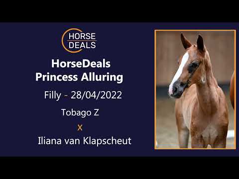 HorseDeals Princess Alluring 