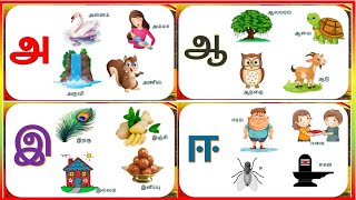 உயிர் எழுத்துக்கள் அ முதல் ஔ வரை | Uyir eluthukkal  in tamil | Tamil alphabets with pictures