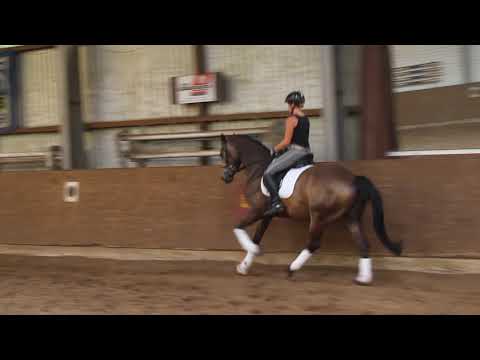 Verkaufspony Cooper de Luxe