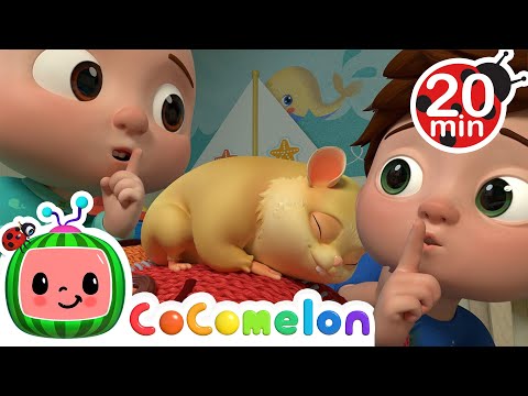 Class Pet Sleepover | CoComelon | Sing Along | Nursery Rhymes and Songs for Kids