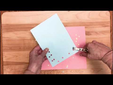 Super Science: Animal Camouflage with Susan Hogan