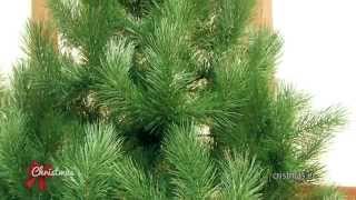Factory artificial Christmas trees