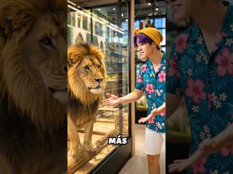 ¿Cómo Puede Jinu Comprar a Su Mascota Favorita? 🐼💖#shorts